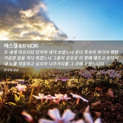 Picture 02 - 에스겔 8:17 KOR - 또 내게 이르시되 인자야 네가 - Bible Verse Picture