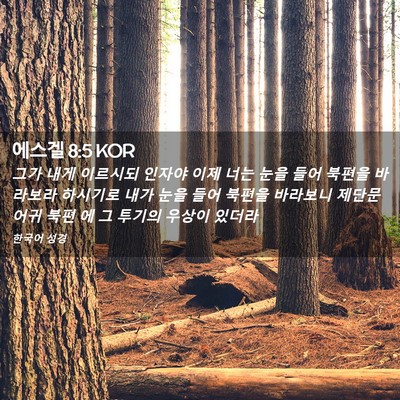 Picture 02 - 에스겔 8:5 KOR - 그가 내게 이르시되 인자야 이제 - Bible Verse Picture