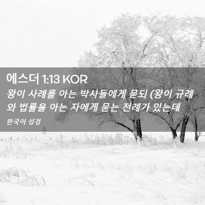 Picture 02 - 에스더 1:13 KOR - 왕이 사례를 아는 박사들에게 묻되 - Bible Verse Picture