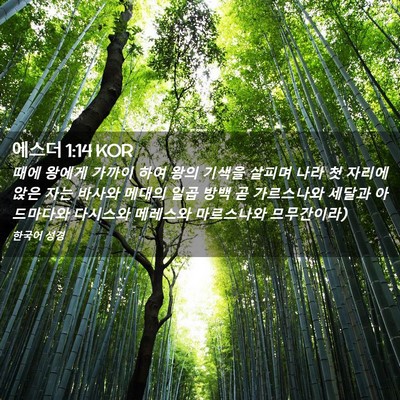 Picture 02 - 에스더 1:14 KOR - 때에 왕에게 가까이 하여 왕의 - Bible Verse Picture