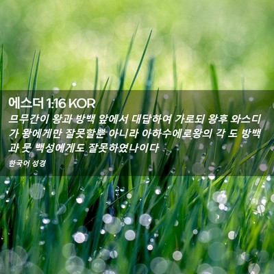 Picture 02 - 에스더 1:16 KOR - 므무간이 왕과 방백 앞에서 대답하여 - Bible Verse Picture