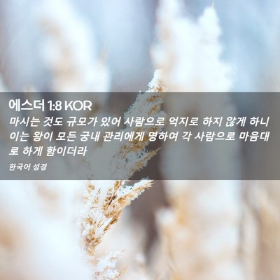 Picture 02 - 에스더 1:8 KOR - 마시는 것도 규모가 있어 사람으로 - Bible Verse Picture