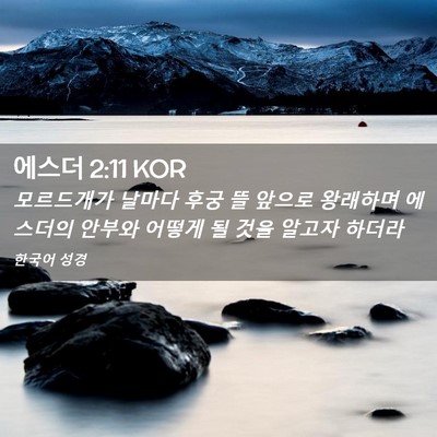 Picture 02 - 에스더 2:11 KOR - 모르드개가 날마다 후궁 뜰 앞으로 - Bible Verse Picture