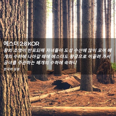 Picture 02 - 에스더 2:8 KOR - 왕의 조명이 반포되매 처녀들이 도성 - Bible Verse Picture