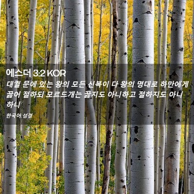 Picture 02 - 에스더 3:2 KOR - 대궐 문에 있는 왕의 모든 신복이 다 - Bible Verse Picture