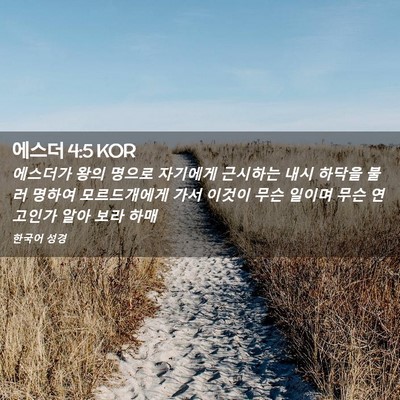 Picture 02 - 에스더 4:5 KOR - 에스더가 왕의 명으로 자기에게 - Bible Verse Picture