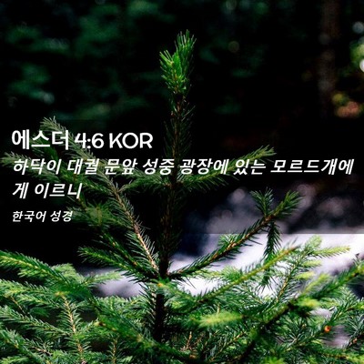 Picture 02 - 에스더 4:6 KOR - 하닥이 대궐 문앞 성중 광장에 있는 - Bible Verse Picture