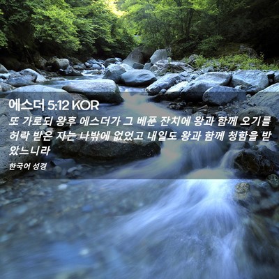 Picture 02 - 에스더 5:12 KOR - 또 가로되 왕후 에스더가 그 베푼 - Bible Verse Picture