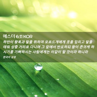 Picture 02 - 에스더 6:11 KOR - 하만이 왕복과 말을 취하여 - Bible Verse Picture
