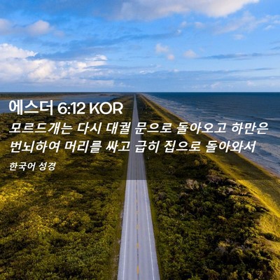 Picture 02 - 에스더 6:12 KOR - 모르드개는 다시 대궐 문으로 - Bible Verse Picture