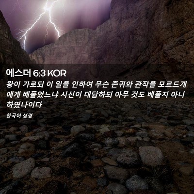 Picture 02 - 에스더 6:3 KOR - 왕이 가로되 이 일을 인하여 무슨 - Bible Verse Picture