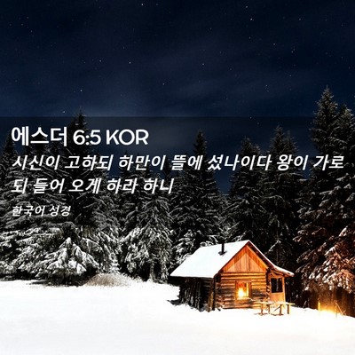 Picture 02 - 에스더 6:5 KOR - 시신이 고하되 하만이 뜰에 섰나이다 - Bible Verse Picture