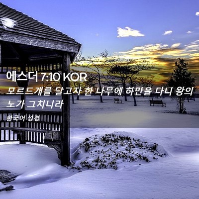 Picture 02 - 에스더 7:10 KOR - 모르드개를 달고자 한 나무에 하만을 - Bible Verse Picture