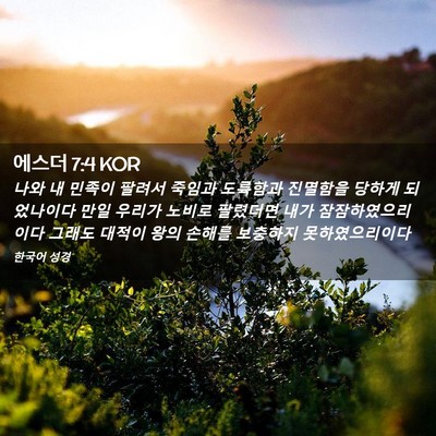 Picture 02 - 에스더 7:4 KOR - 나와 내 민족이 팔려서 죽임과 - Bible Verse Picture