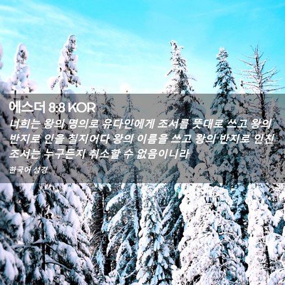 Picture 02 - 에스더 8:8 KOR - 너희는 왕의 명의로 유다인에게 - Bible Verse Picture