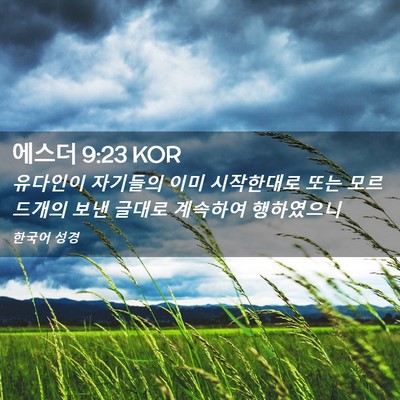 Picture 02 - 에스더 9:23 KOR - 유다인이 자기들의 이미 시작한대로 - Bible Verse Picture