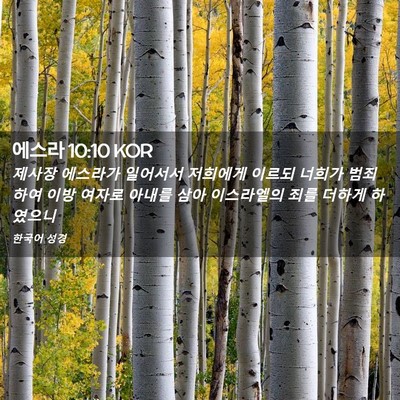 Picture 02 - 에스라 10:10 KOR - 제사장 에스라가 일어서서 저희에게 - Bible Verse Picture
