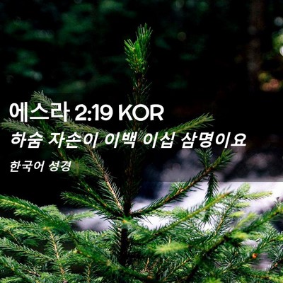 Picture 02 - 에스라 2:19 KOR - 하숨 자손이 이백 이십 - Bible Verse Picture