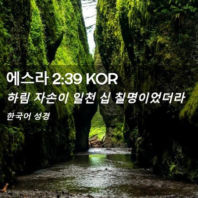 Picture 02 - 에스라 2:39 KOR - 하림 자손이 일천 십 - Bible Verse Picture