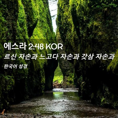 Picture 02 - 에스라 2:48 KOR - 르신 자손과 느고다 자손과 갓삼 - Bible Verse Picture
