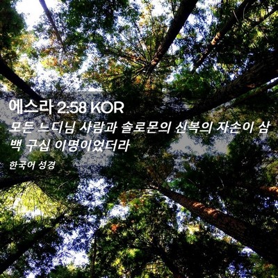 Picture 02 - 에스라 2:58 KOR - 모든 느디님 사람과 솔로몬의 신복의 - Bible Verse Picture