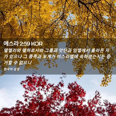Picture 02 - 에스라 2:59 KOR - 델멜라와 델하르사와 그룹과 앗단과 - Bible Verse Picture