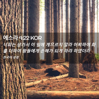Picture 02 - 에스라 4:22 KOR - 너희는 삼가서 이 일에 게으르지 - Bible Verse Picture