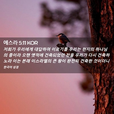 Picture 02 - 에스라 5:11 KOR - 저희가 우리에게 대답하여 이르기를 - Bible Verse Picture