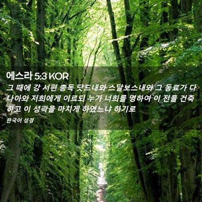 Picture 02 - 에스라 5:3 KOR - 그 때에 강 서편 총독 닷드내와 - Bible Verse Picture