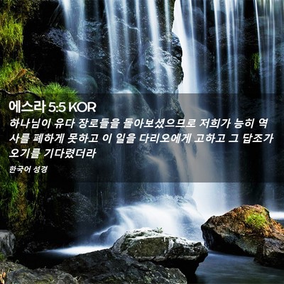 Picture 02 - 에스라 5:5 KOR - 하나님이 유다 장로들을 - Bible Verse Picture