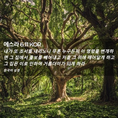 Picture 02 - 에스라 6:11 KOR - 내가 또 조서를 내리노니 무론 - Bible Verse Picture