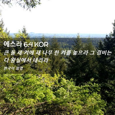 Picture 02 - 에스라 6:4 KOR - 큰 돌 세 켜에 새 나무 한 켜를 - Bible Verse Picture