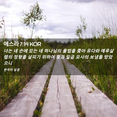 Picture 02 - 에스라 7:14 KOR - 너는 네 손에 있는 네 하나님의 - Bible Verse Picture
