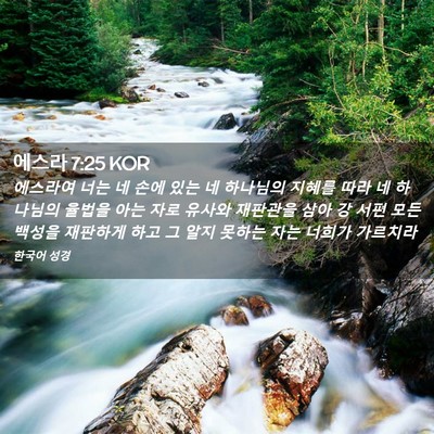 Picture 02 - 에스라 7:25 KOR - 에스라여 너는 네 손에 있는 네 - Bible Verse Picture