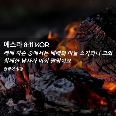 Picture 02 - 에스라 8:11 KOR - 베배 자손 중에서는 베배의 아들 - Bible Verse Picture