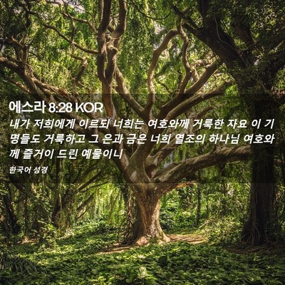 Picture 02 - 에스라 8:28 KOR - 내가 저희에게 이르되 너희는 - Bible Verse Picture