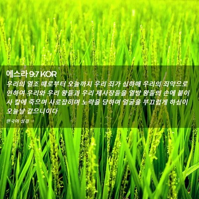 Picture 02 - 에스라 9:7 KOR - 우리의 열조 때로부터 오늘까지 우리 - Bible Verse Picture