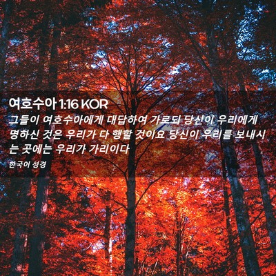 Picture 02 - 여호수아 1:16 KOR - 그들이 여호수아에게 대답하여 - Bible Verse Picture