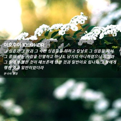 Picture 02 - 여호수아 10:39 KOR - 그 성읍과 그 왕과 그 속한 성읍들을 - Bible Verse Picture
