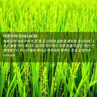 Picture 02 - 여호수아 10:40 KOR - 이와 같이 여호수아가 온 땅 곧 - Bible Verse Picture