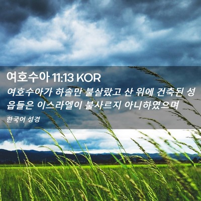 Picture 02 - 여호수아 11:13 KOR - 여호수아가 하솔만 불살랐고 산 위에 - Bible Verse Picture
