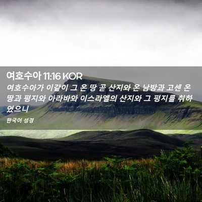 Picture 02 - 여호수아 11:16 KOR - 여호수아가 이같이 그 온 땅 곧 - Bible Verse Picture