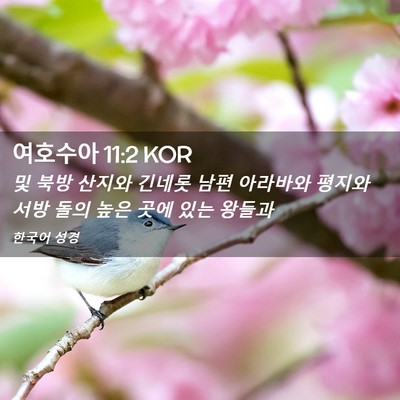 Picture 02 - 여호수아 11:2 KOR - 및 북방 산지와 긴네롯 남편 - Bible Verse Picture