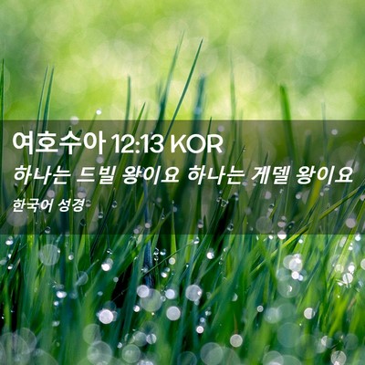 Picture 02 - 여호수아 12:13 KOR - 하나는 드빌 왕이요 하나는 게델 - Bible Verse Picture