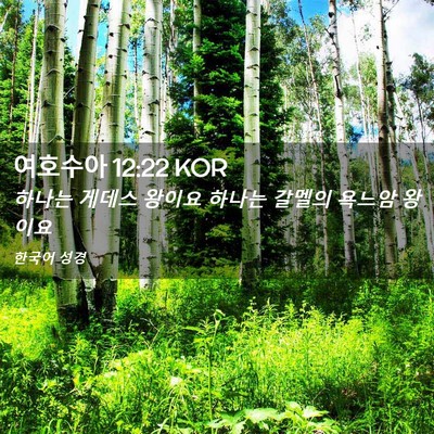 Picture 02 - 여호수아 12:22 KOR - 하나는 게데스 왕이요 하나는 갈멜의 - Bible Verse Picture