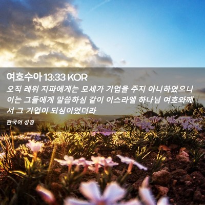 Picture 02 - 여호수아 13:33 KOR - 오직 레위 지파에게는 모세가 기업을 - Bible Verse Picture