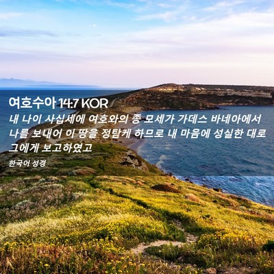 Picture 02 - 여호수아 14:7 KOR - 내 나이 사십세에 여호와의 종 - Bible Verse Picture