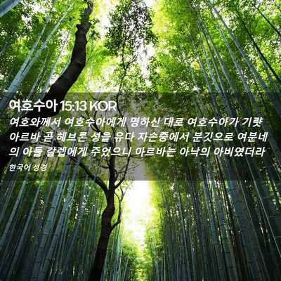 Picture 02 - 여호수아 15:13 KOR - 여호와께서 여호수아에게 명하신 - Bible Verse Picture