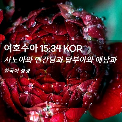 Picture 02 - 여호수아 15:34 KOR - 사노아와 엔간님과 답부아와 - Bible Verse Picture