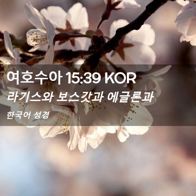 Picture 02 - 여호수아 15:39 KOR - 라기스와 보스갓과 - Bible Verse Picture